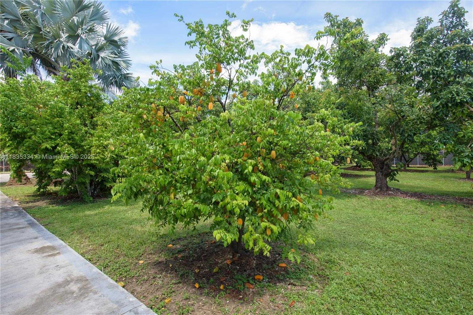 Small Image of 23400 SOUTH WEST 192ND AVE, Homestead Number 69