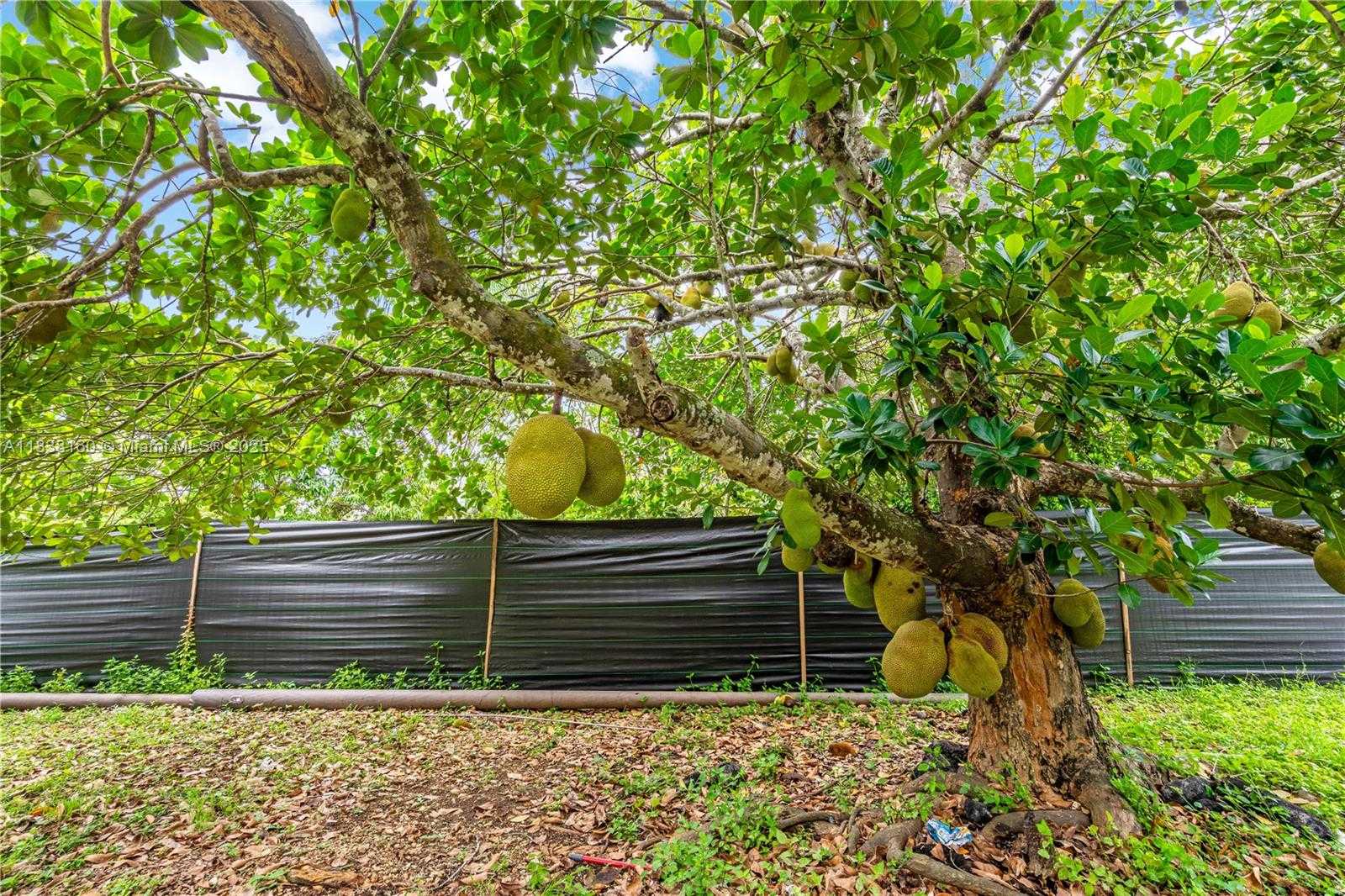 Small Image of 26105 SOUTH WEST 193RD AVE, Homestead Number 20