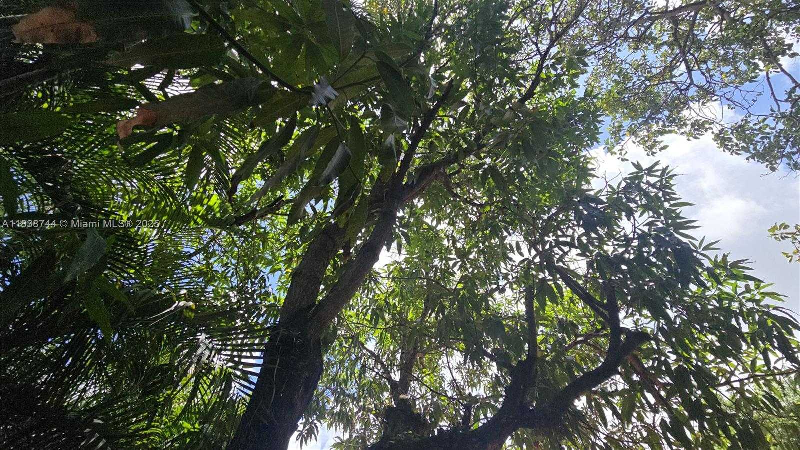 Small Image of 22 NORTH WEST 31ST AVE, Miami Number 33