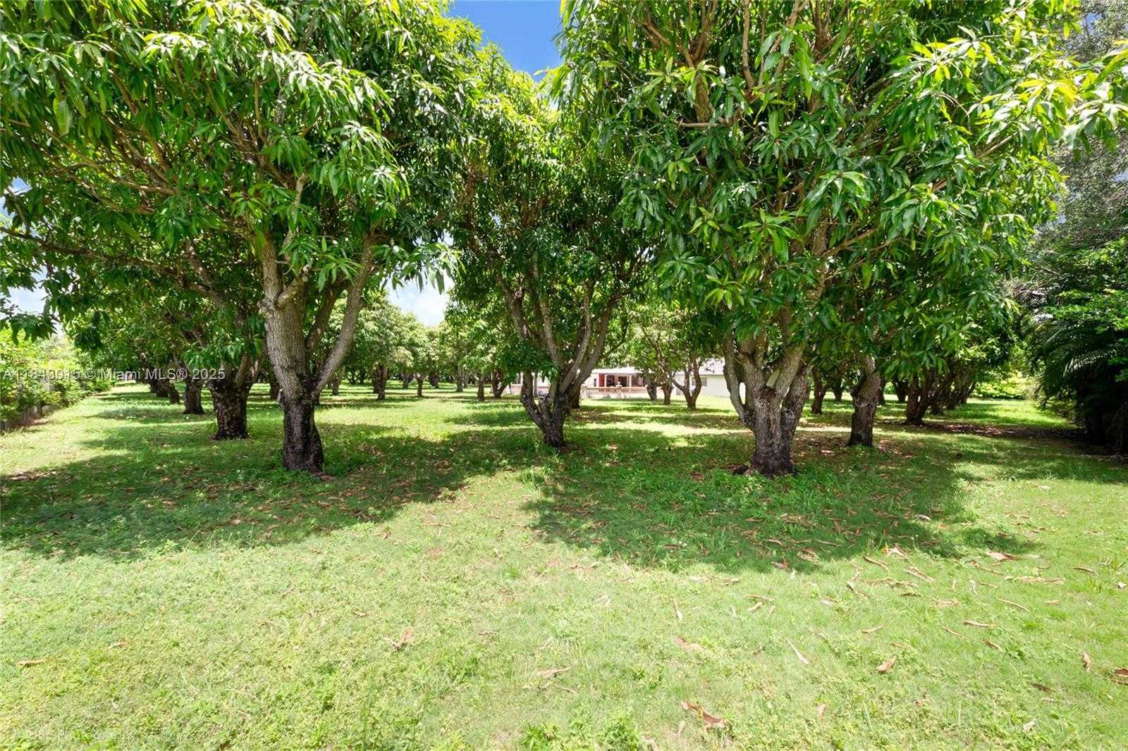 Small Image of 8000 SOUTH WEST 184TH ST, Cutler Bay Number 19