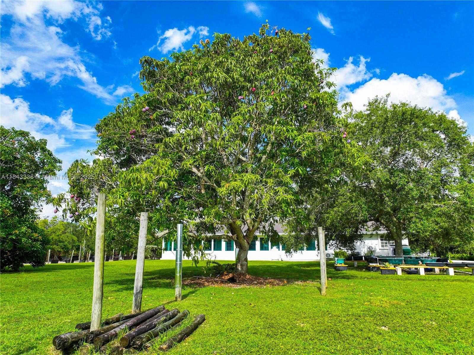 Small Image of 24545 SOUTH WEST 192ND AVE, Homestead Number 88