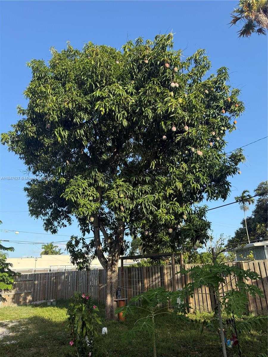 Small Image of 800 SOUTH WEST 26TH CT, Fort Lauderdale Number 43
