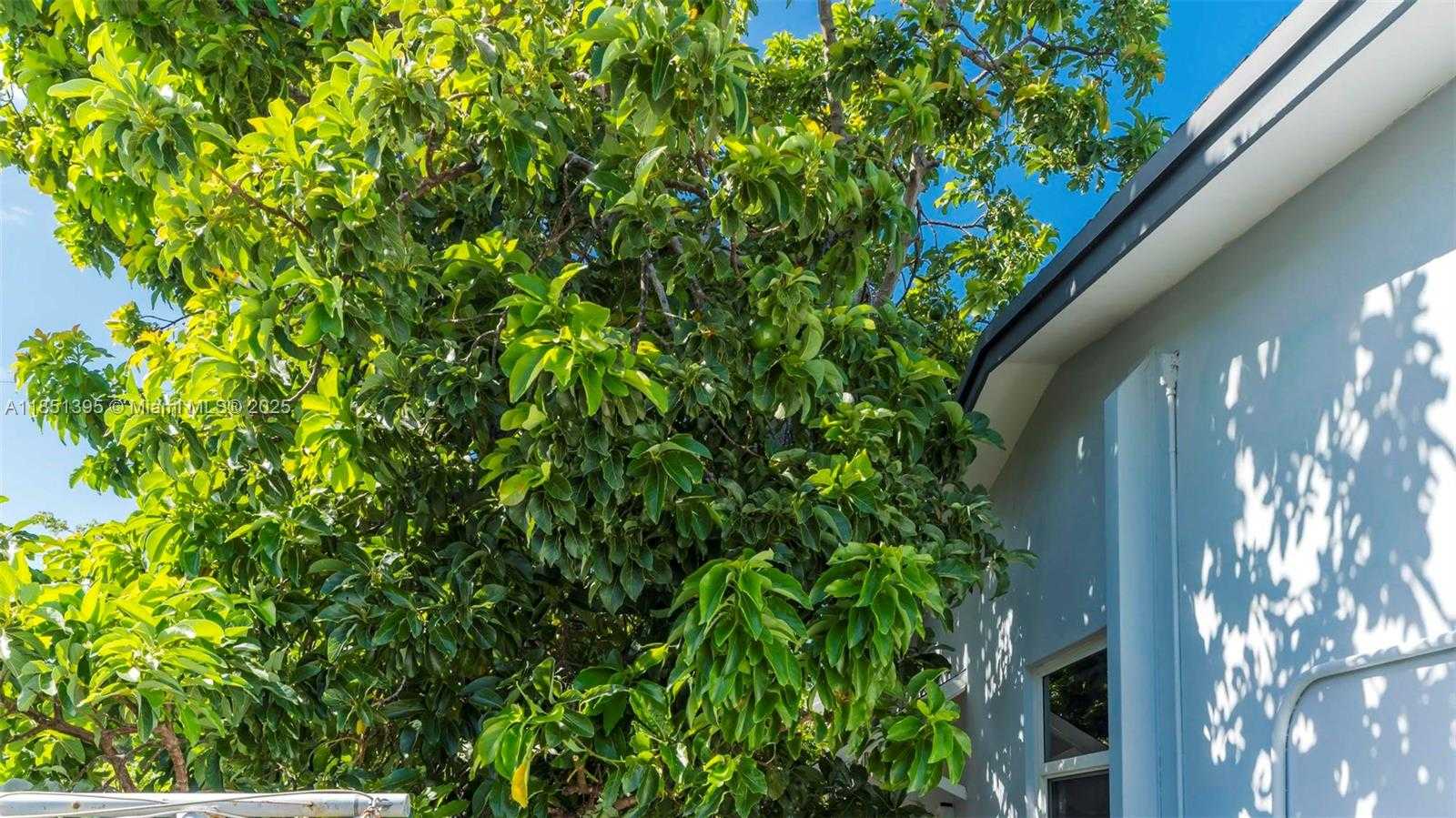 Small Image of 8711 SOUTH WEST 191ST ST, Cutler Bay Number 53