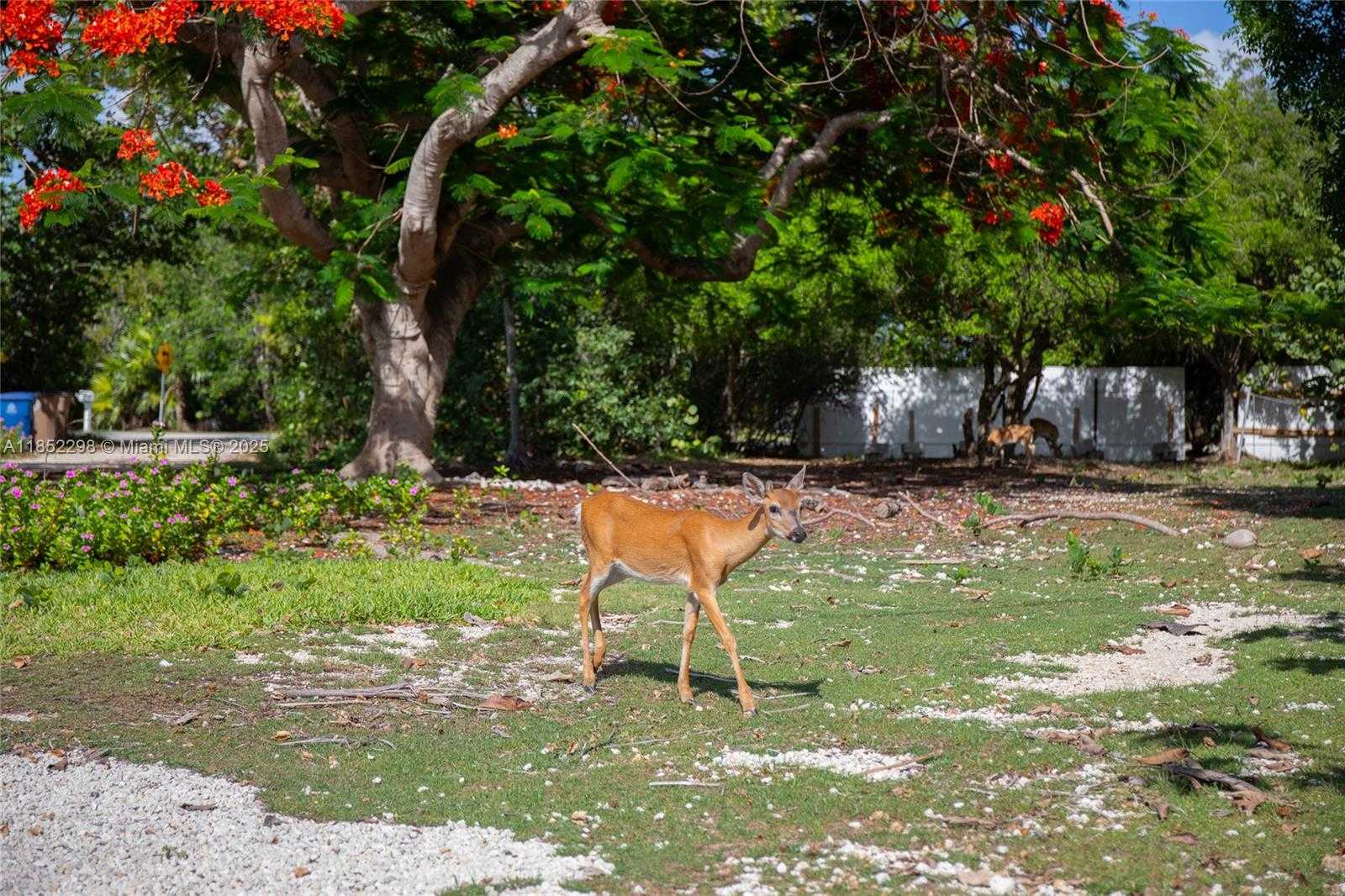 Small Image of 2231 MIDDLE TORCH RD, Torch Key Number 33