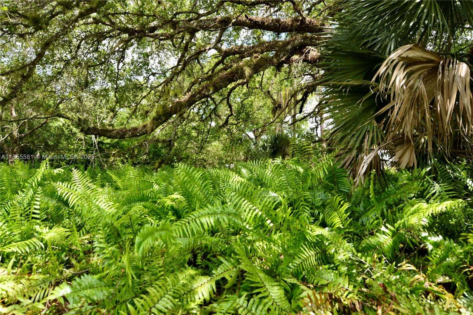 Small Image of 18220 ELMWOOD DR, Other City - In The State Of Florida Number 86