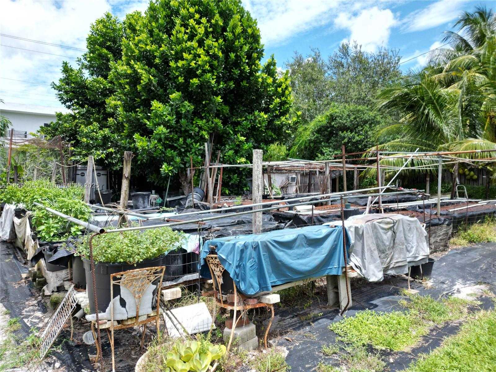 Small Image of 2527 FILLMORE ST, Hollywood Number 21