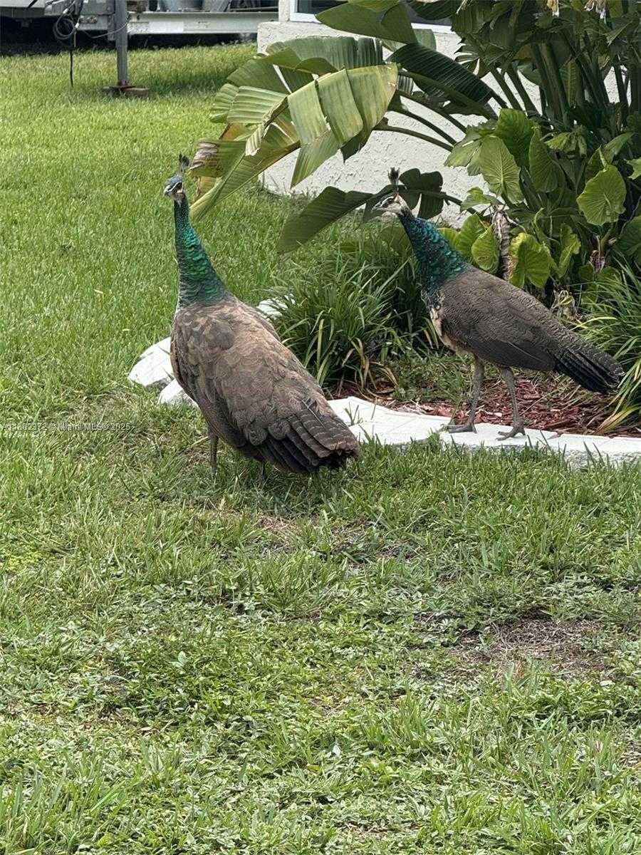 Small Image of 17640 OLD CUTLER RD, Palmetto Bay Number 51