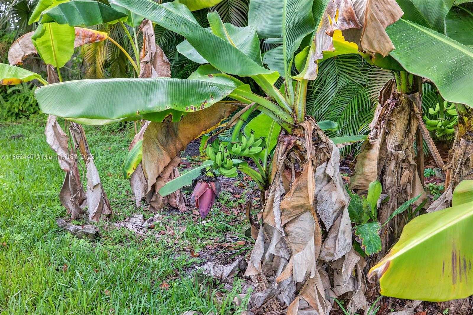 Small Image of 5240 REDWOOD CT, Plantation Number 43