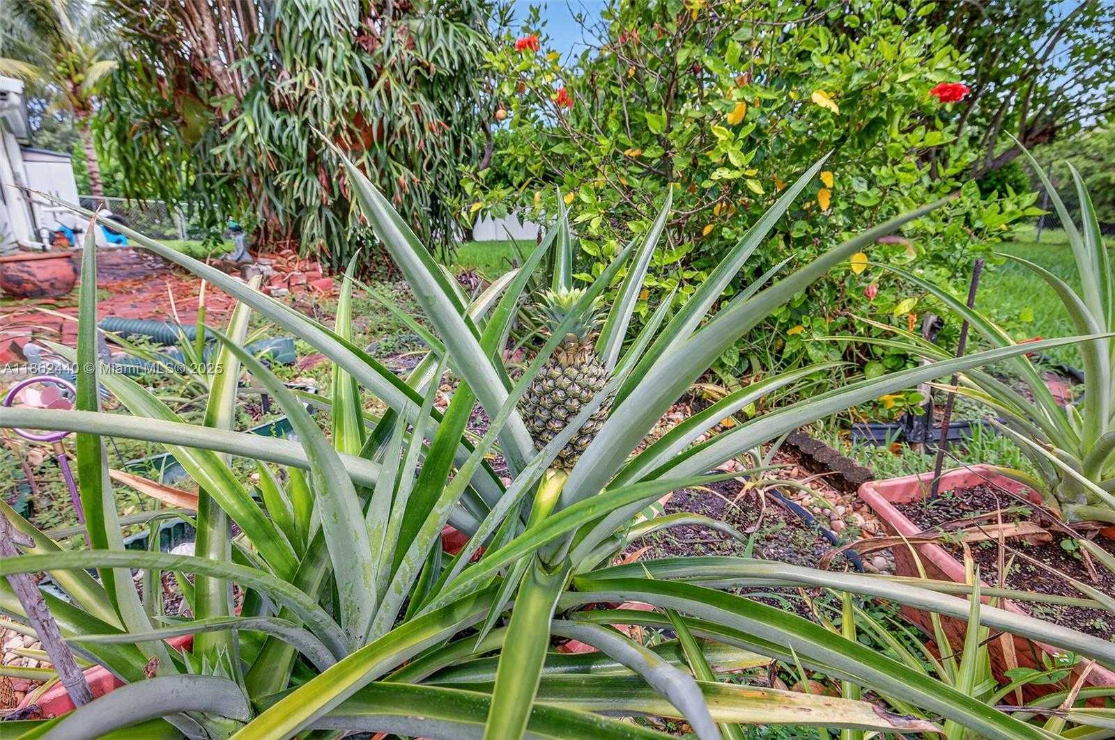 Small Image of 5240 REDWOOD CT, Plantation Number 46