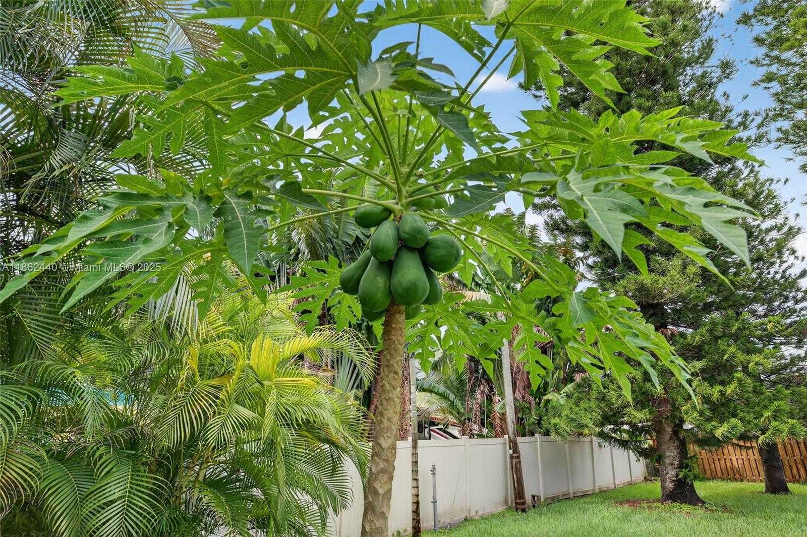 Small Image of 5240 REDWOOD CT, Plantation Number 49