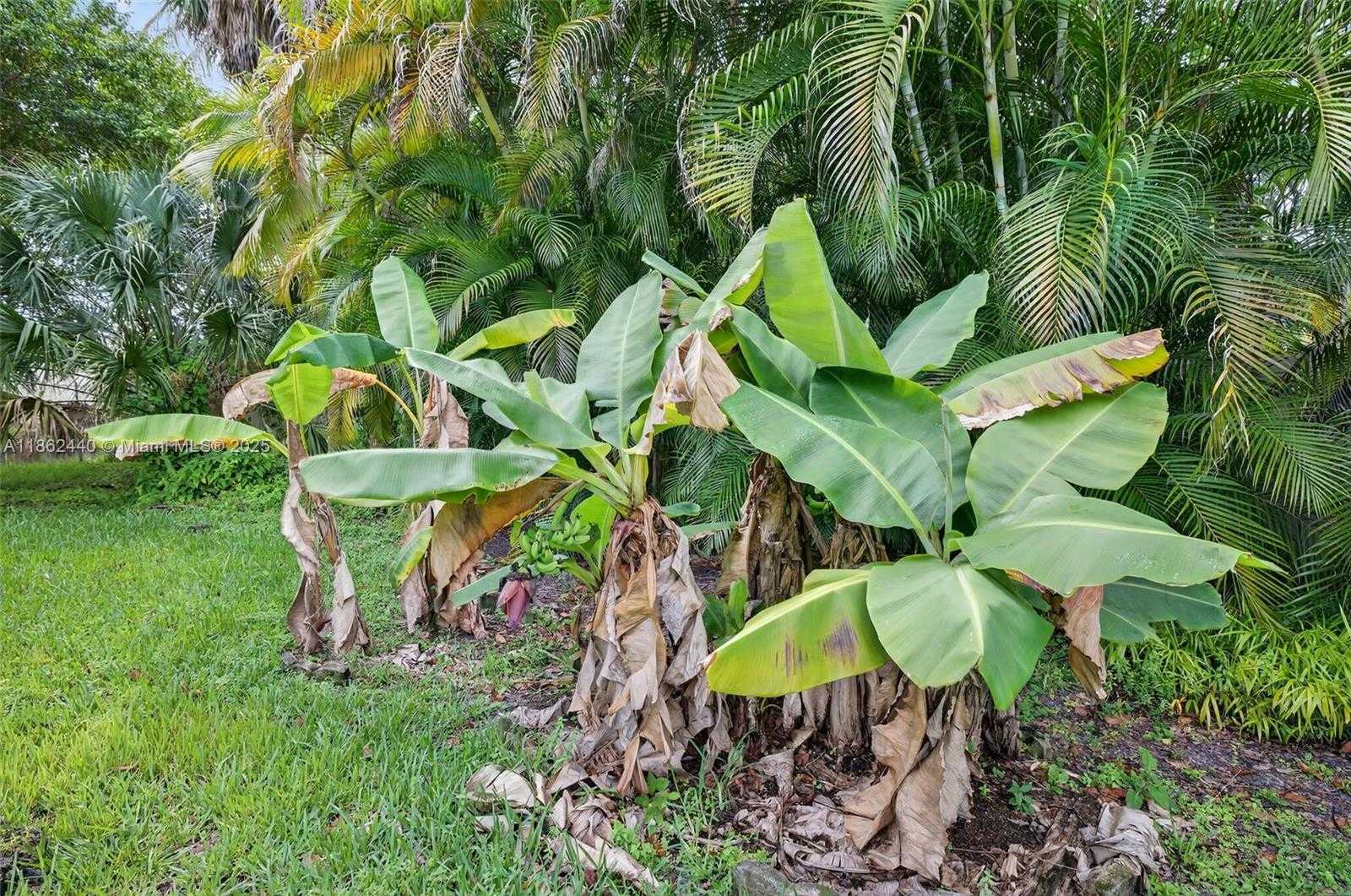 Small Image of 5240 REDWOOD CT, Plantation Number 50