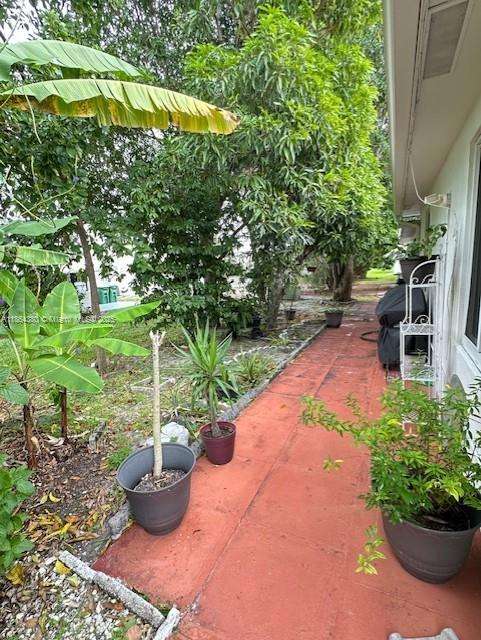 Small Image of Tamarac Number 21