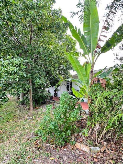 Small Image of Tamarac Number 23