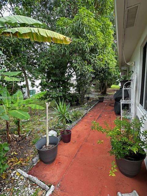 Small Image of Tamarac Number 29