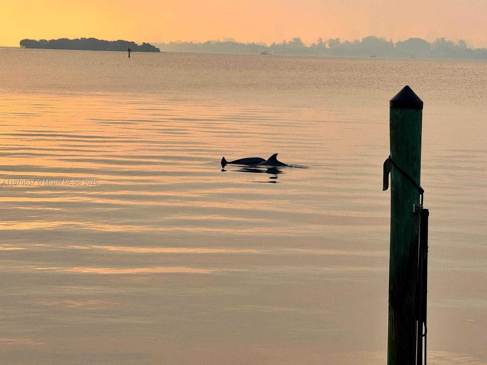 Small Image of 9301 NORTH BAYSHORE DR, Miami Shores Number 54