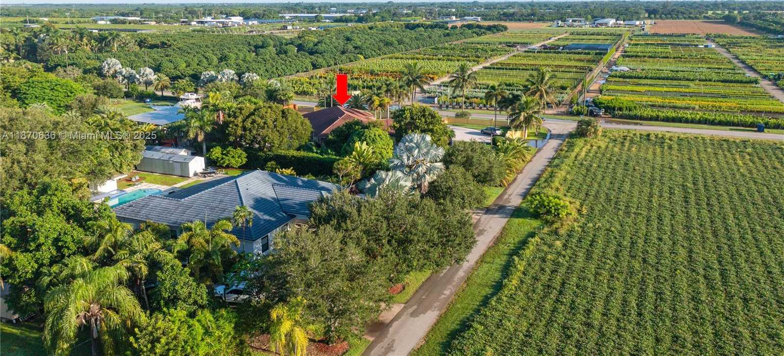 Small Image of Homestead Number 54