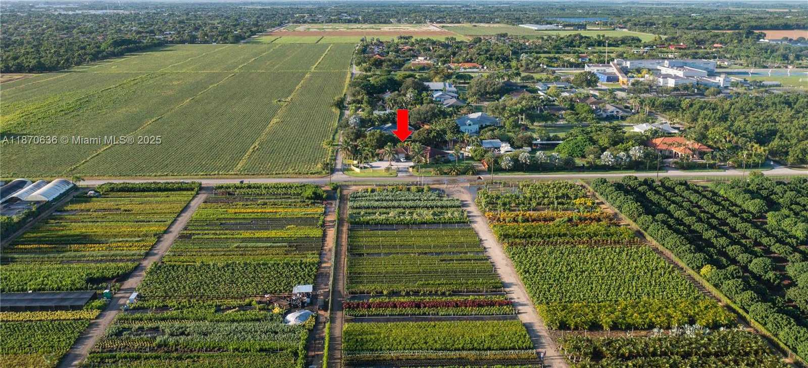 Small Image of Homestead Number 74