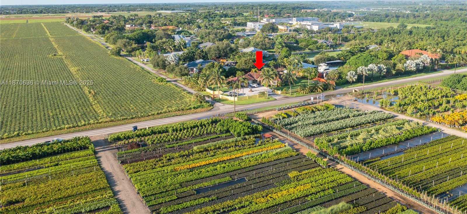 Small Image of Homestead Number 75