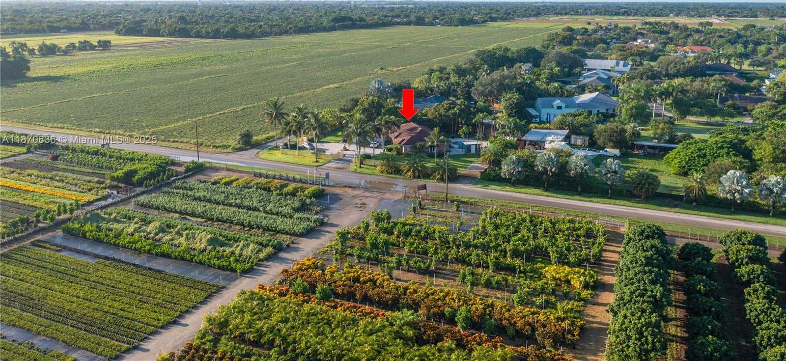 Small Image of Homestead Number 77