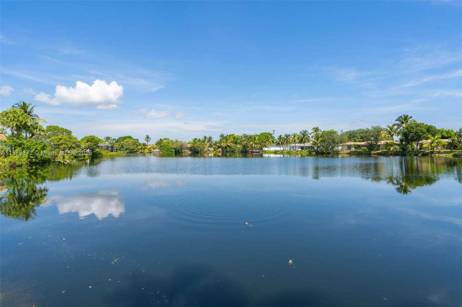 Small Image of 16561 ROYAL POINCIANA DR, Weston Number 31