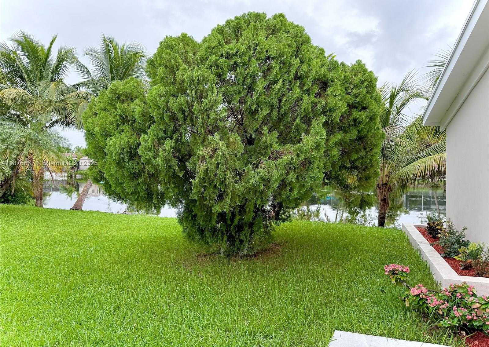 Small Image of 6708 CAMELIA DR, Miramar Number 5