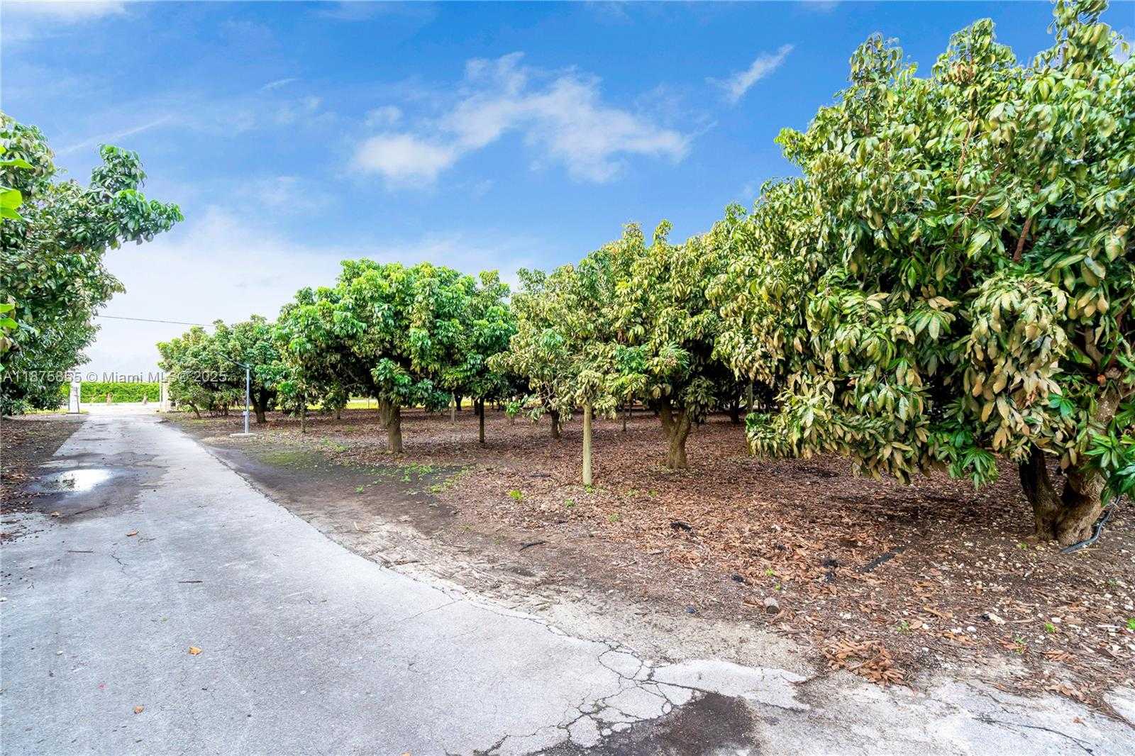 Small Image of 17900 SOUTH WEST 264TH ST, Homestead Number 19
