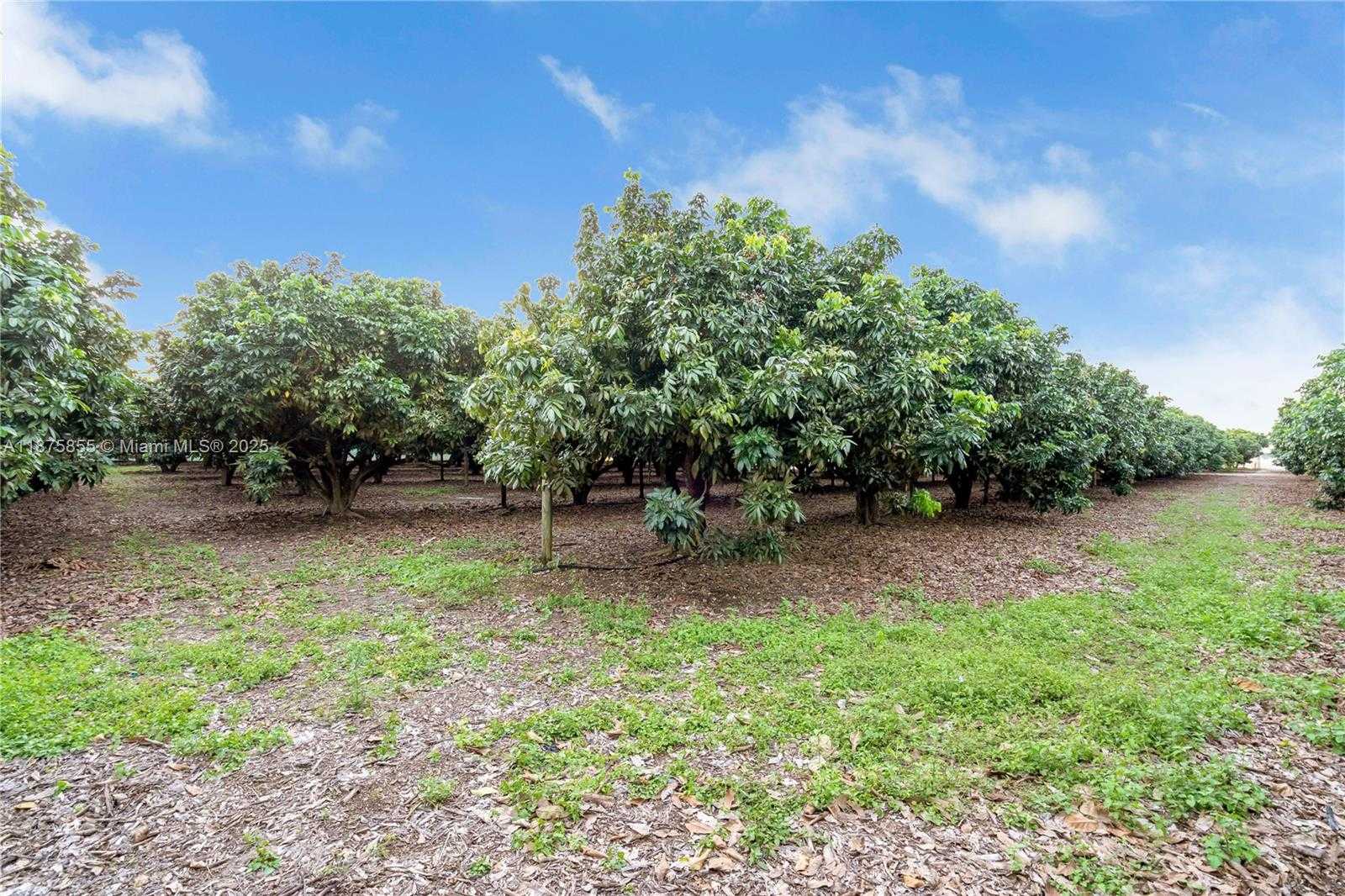 Small Image of 17900 SOUTH WEST 264TH ST, Homestead Number 24