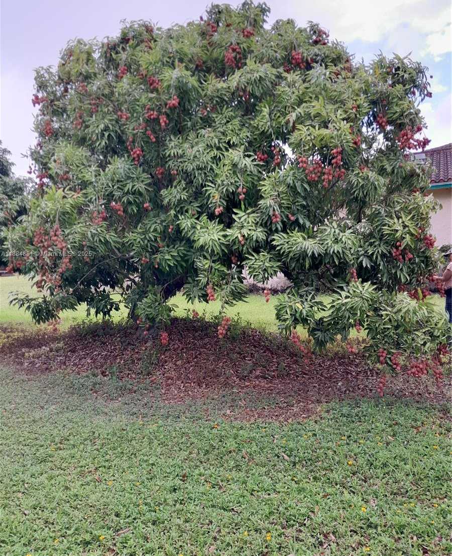 Small Image of 22220 SOUTH WEST 248TH ST, Homestead Number 39
