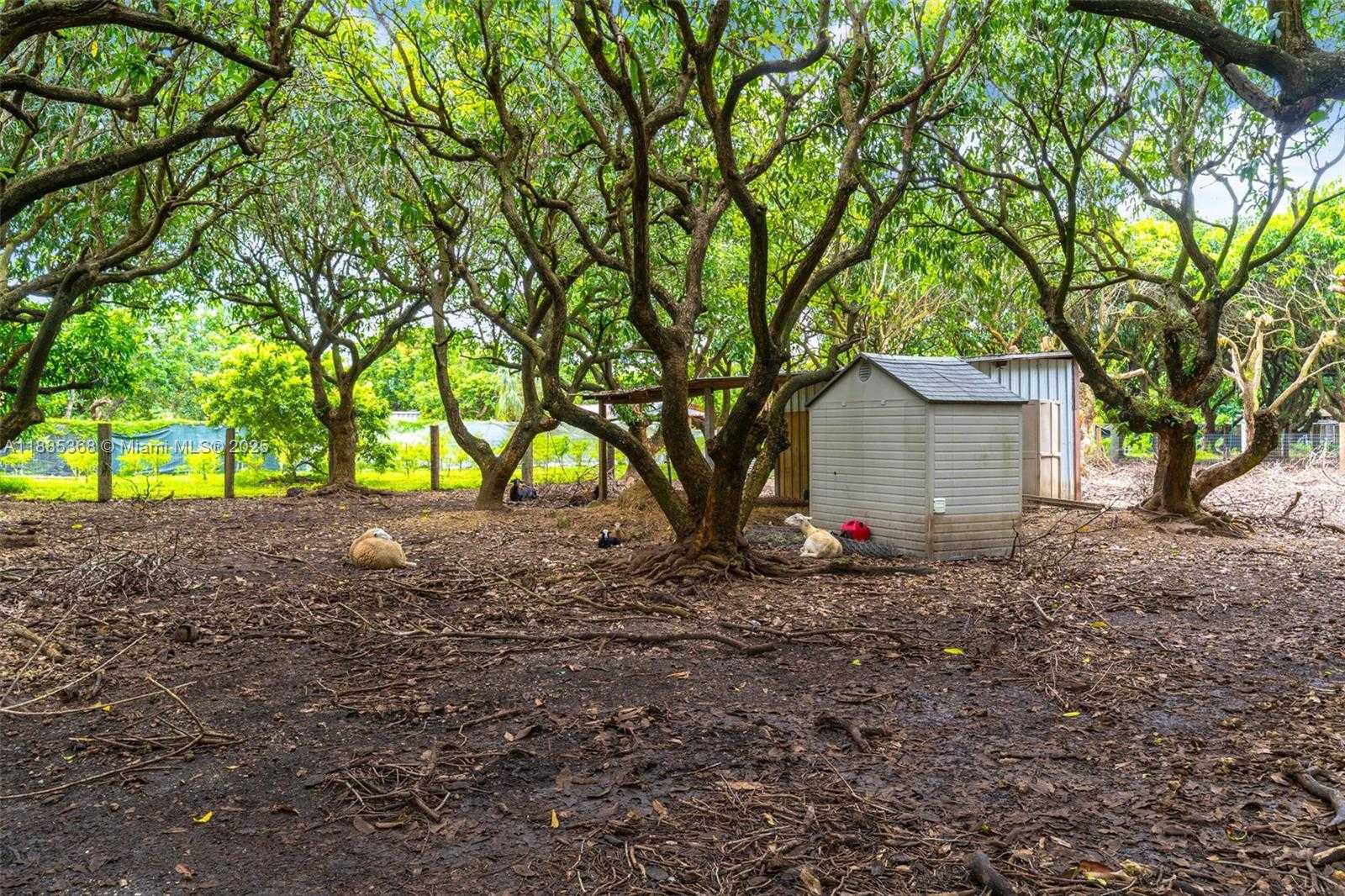 Small Image of 27055 SOUTH WEST 157TH AVE, Homestead Number 52