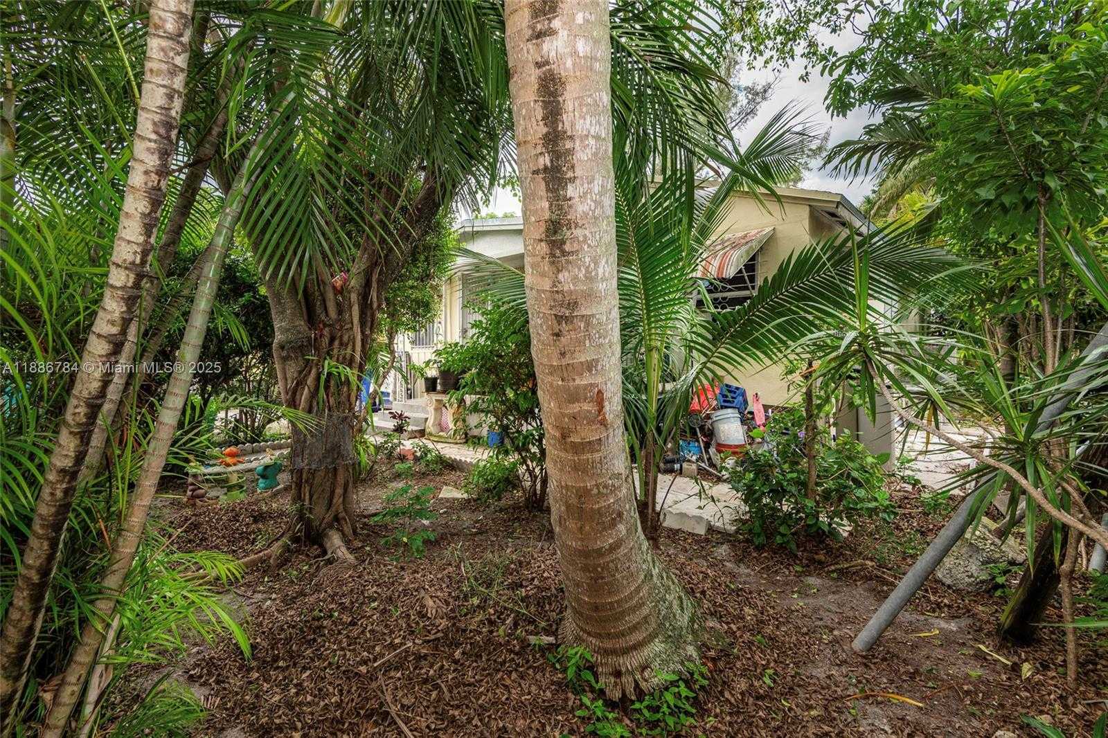 Imagen de Pequeño Objeto