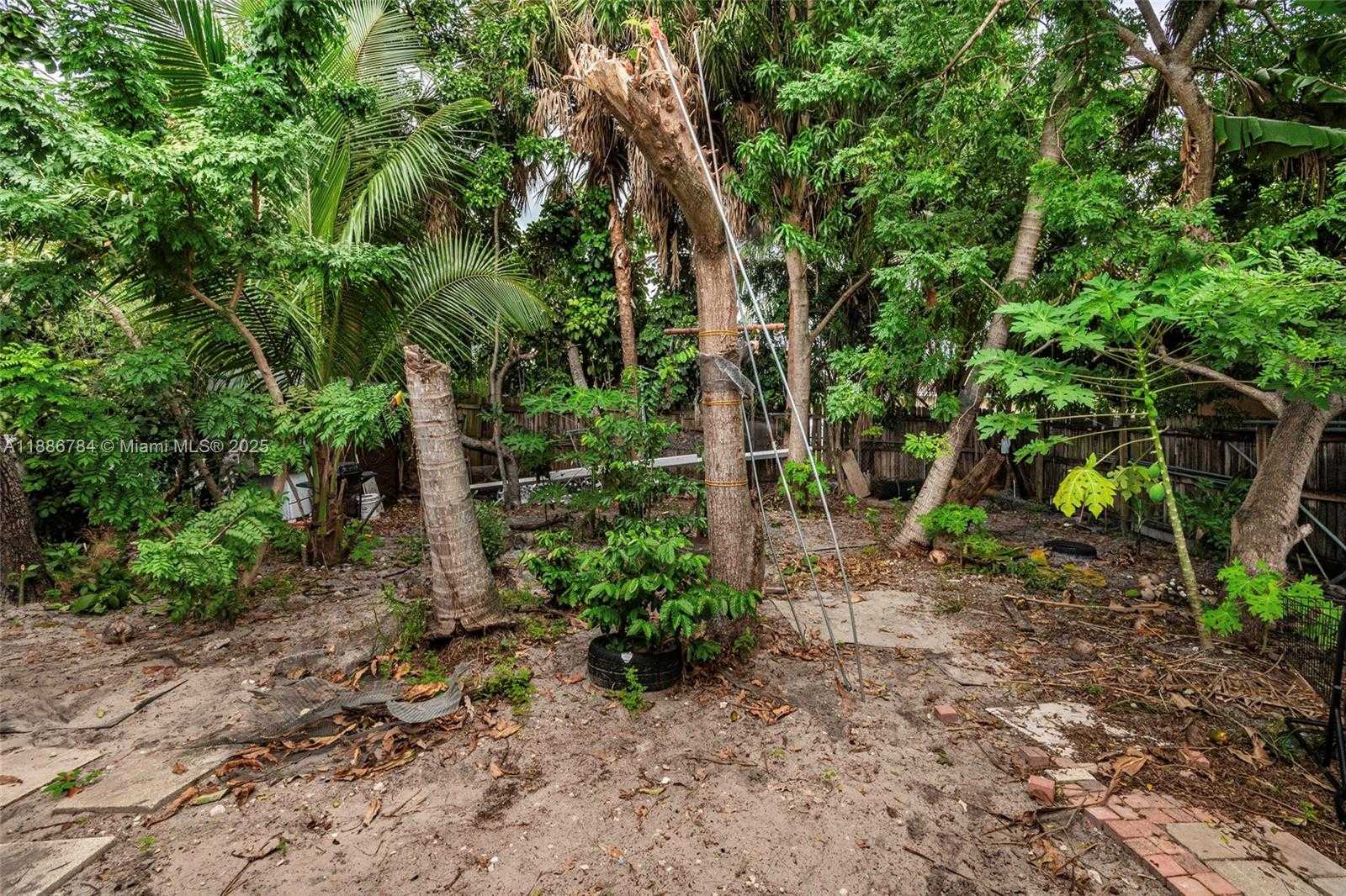 Imagen de Pequeño Objeto