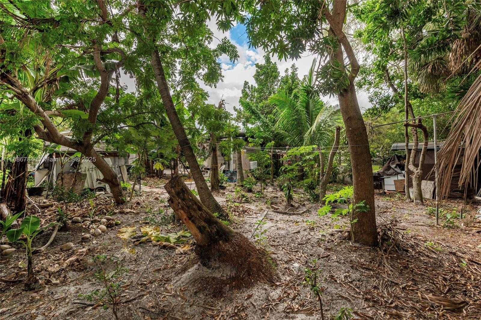 Imagen de Pequeño Objeto