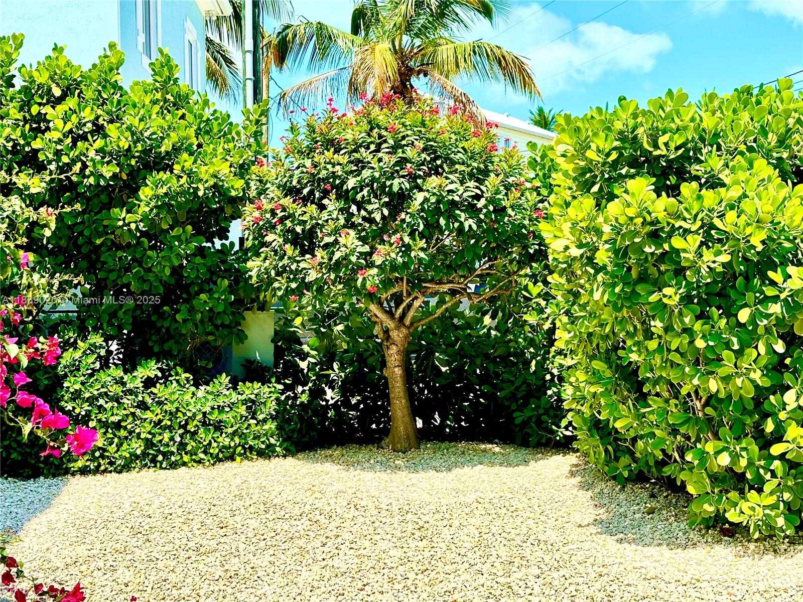 Small Image of 155 AIRSTREAM LN, Tavernier Number 49