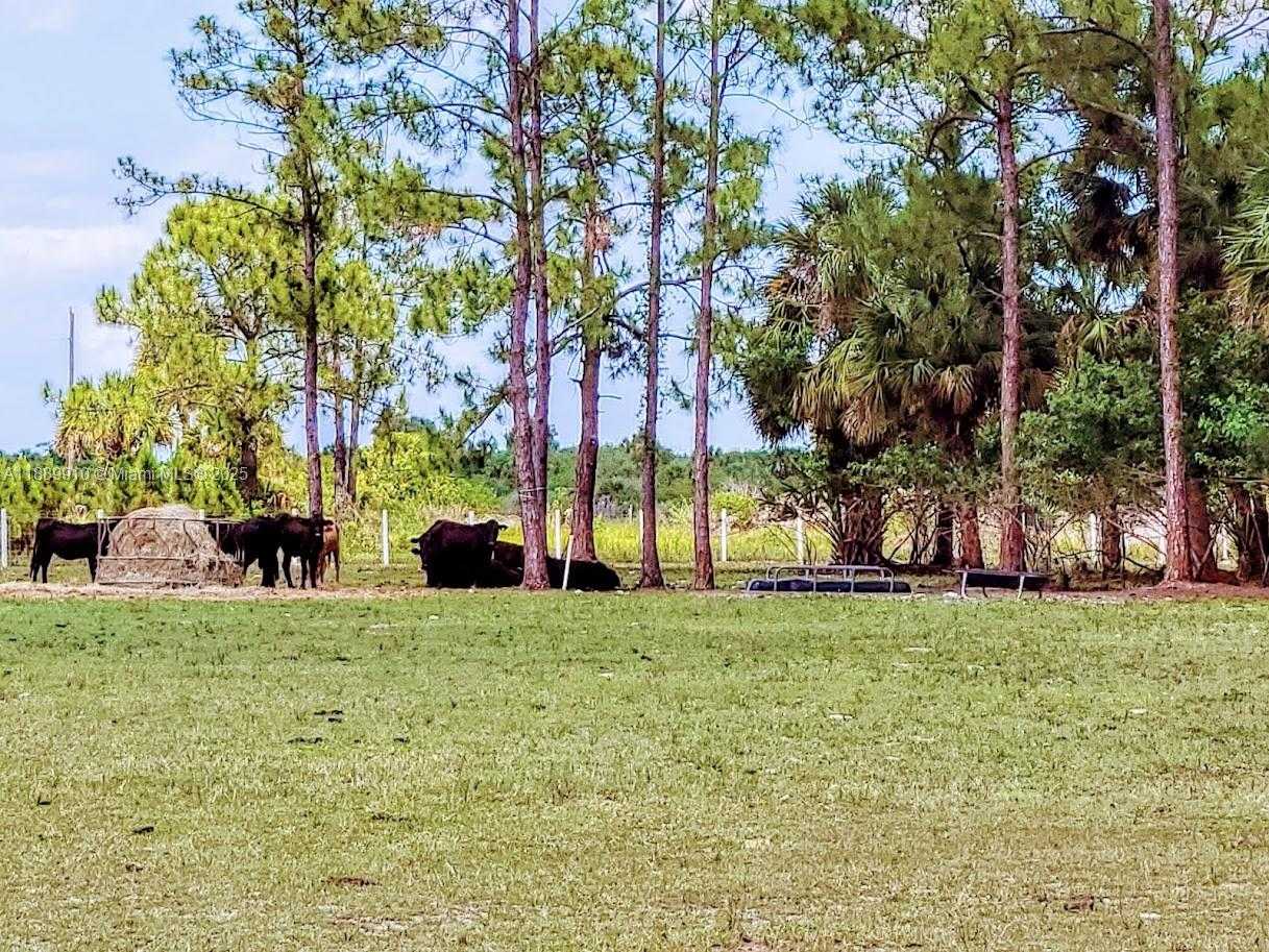 Small Image of 1001 HOMESTEAD AVENUE, Other City - In The State Of Florida Number 12