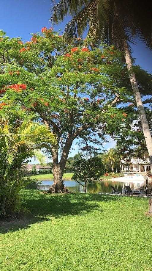 Small Image of 11820 SOUTH WEST 69TH CT, Pinecrest Number 5
