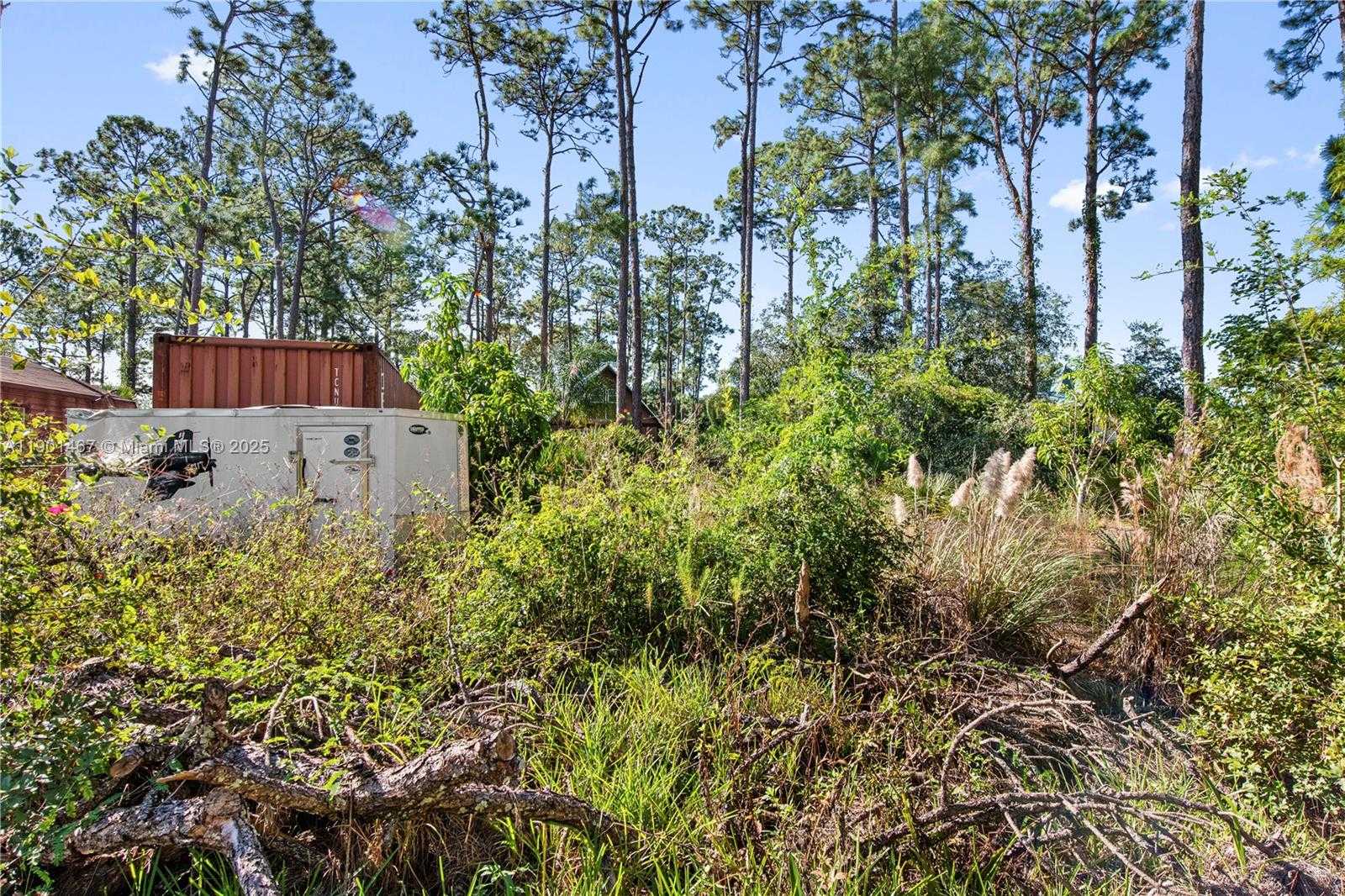 Imagen de Pequeño Objeto