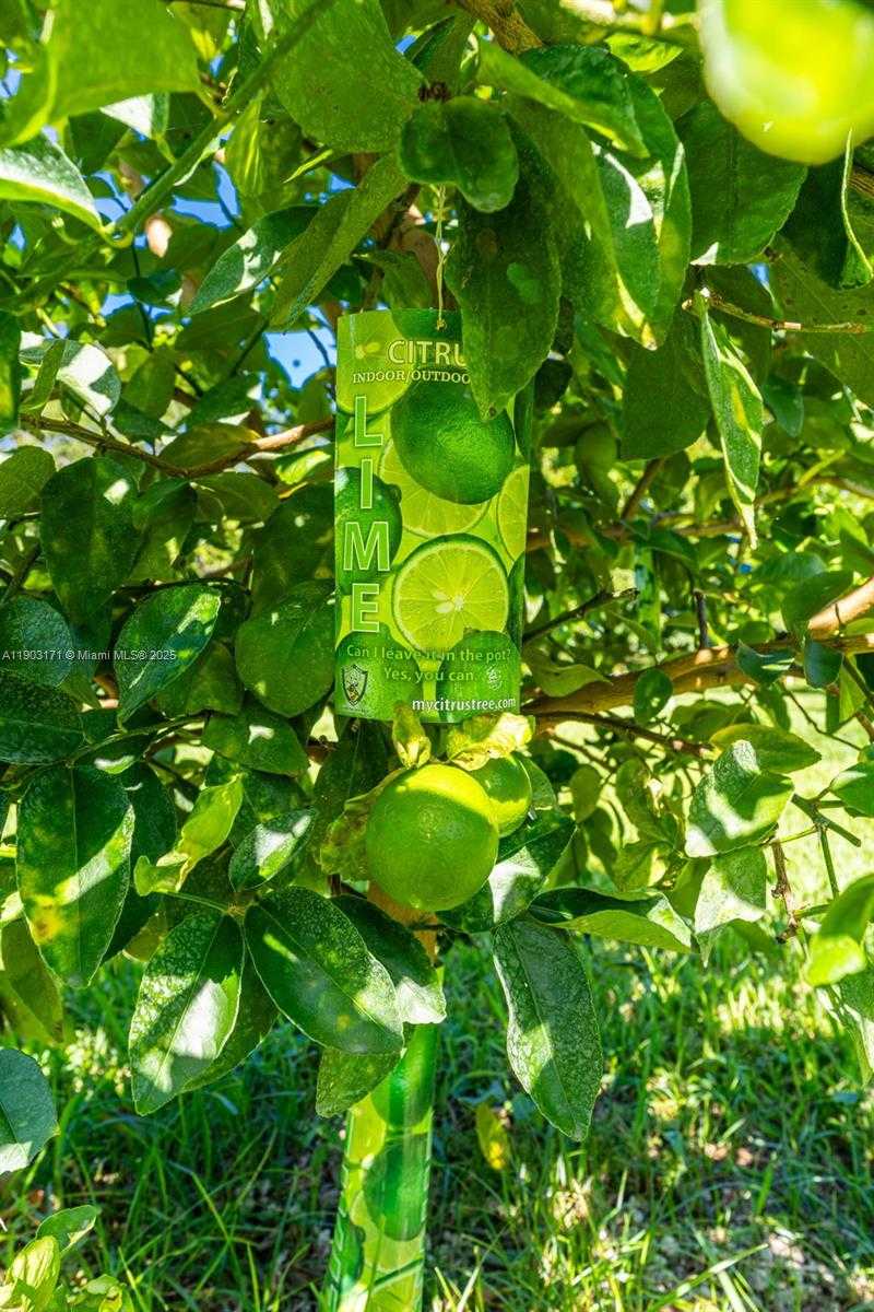 Small Image of 15000 SOUTH WEST 200TH ST, Miami Number 13