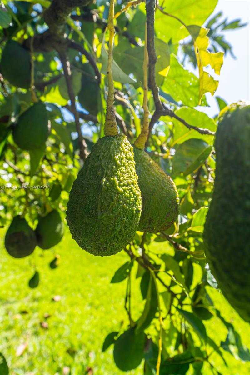 Small Image of 15000 SOUTH WEST 200TH ST, Miami Number 14