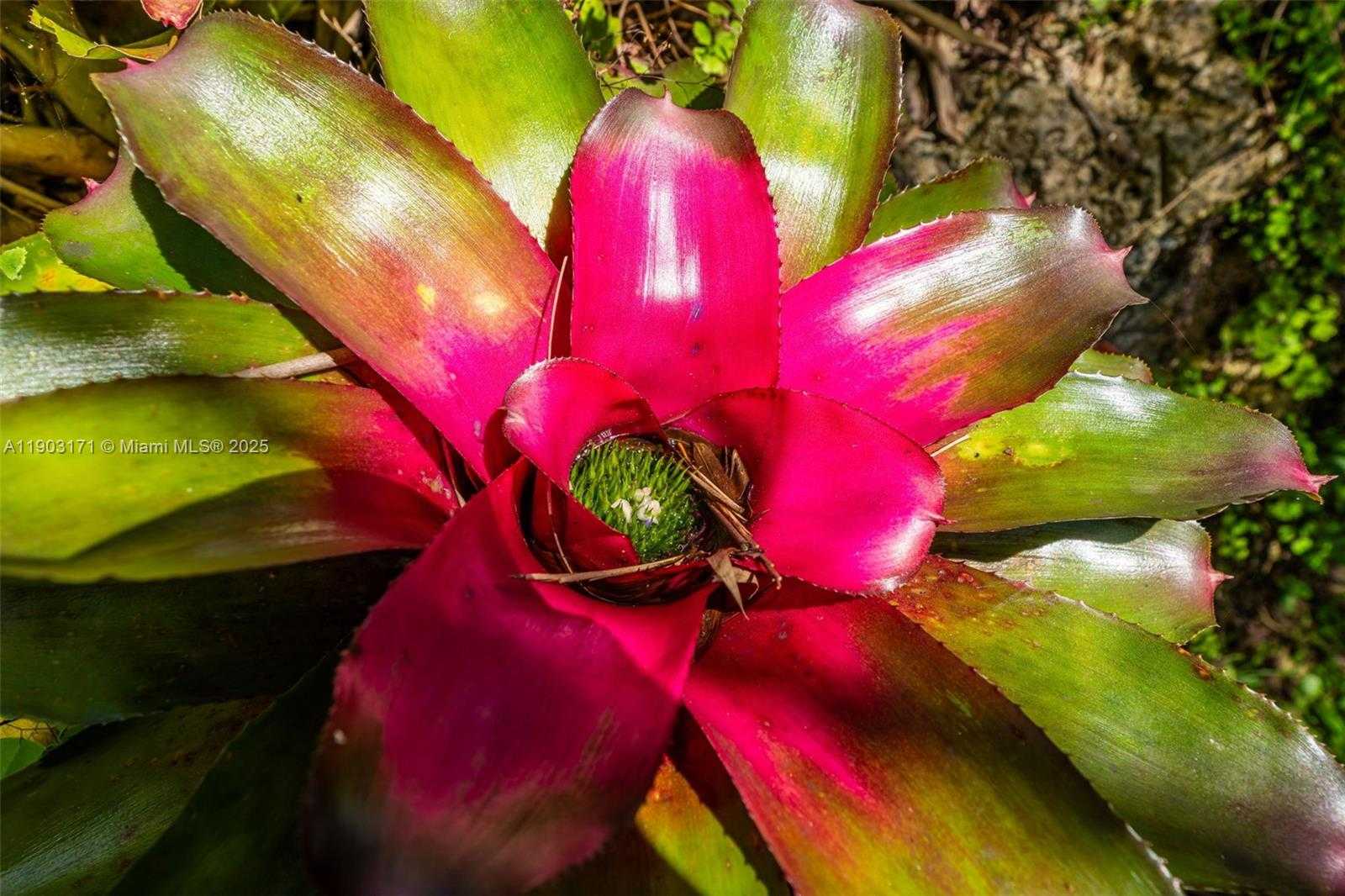 Small Image of 15000 SOUTH WEST 200TH ST, Miami Number 78