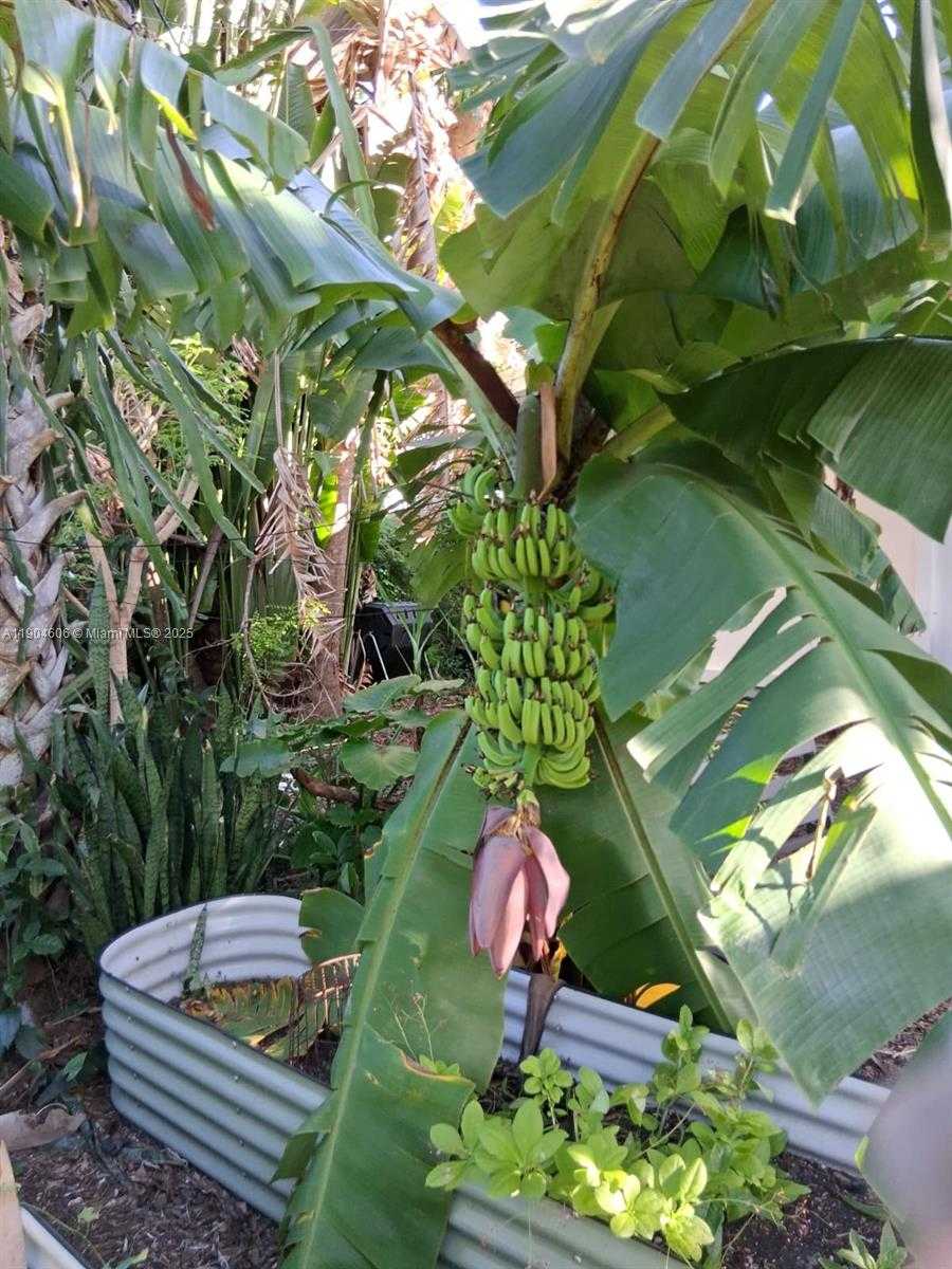 Small Image of 2431 MAYO ST, Hollywood Number 10