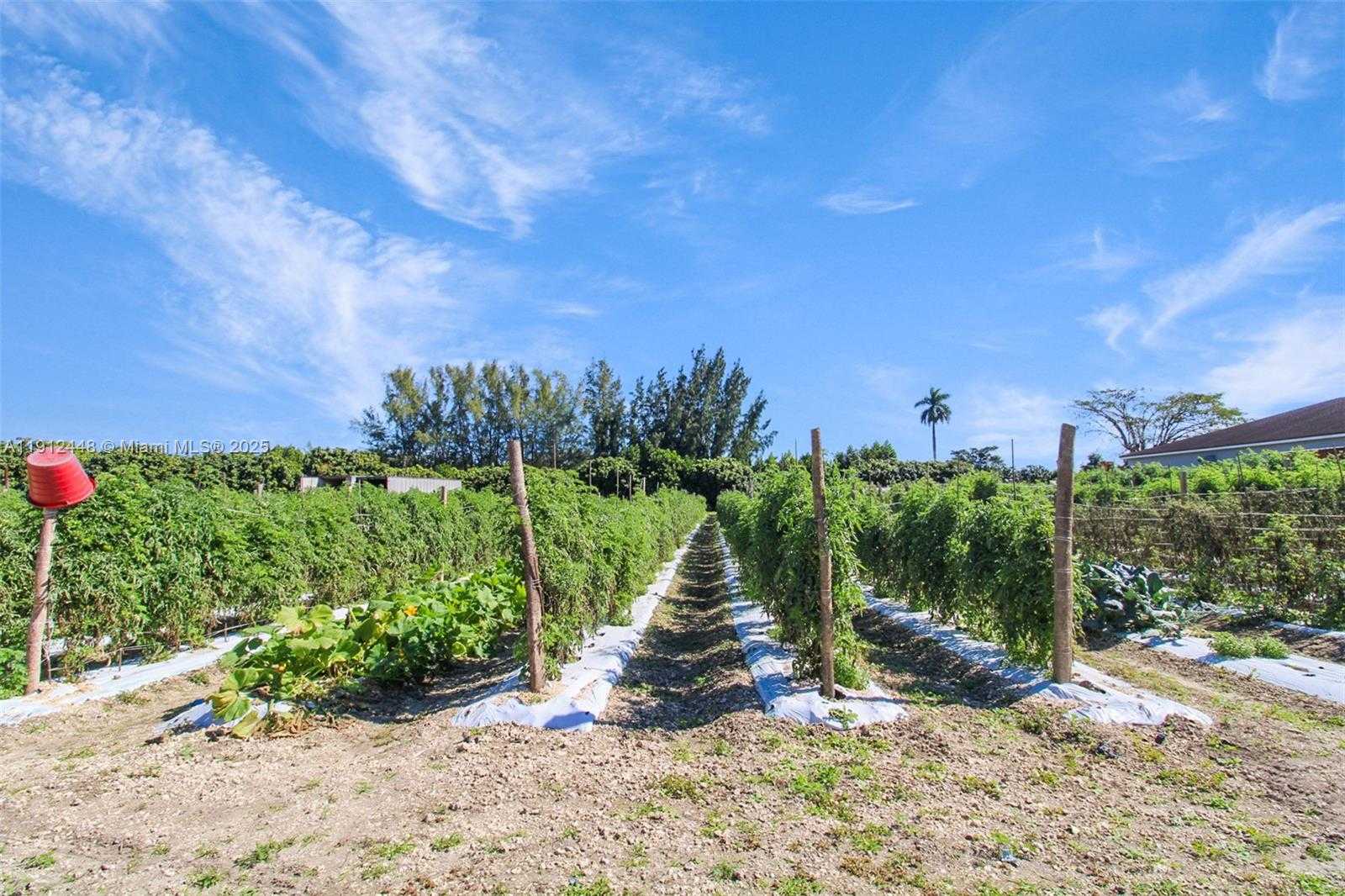 Small Image of 19051 SOUTH WEST 147TH AVE, Miami Number 13