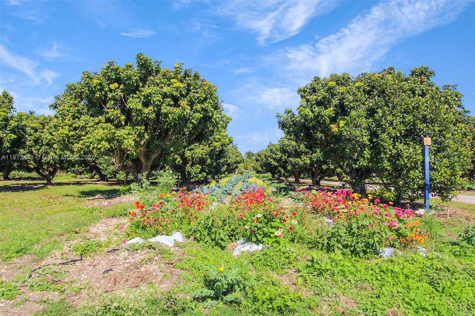 Small Image of 19051 SOUTH WEST 147TH AVE, Miami Number 17