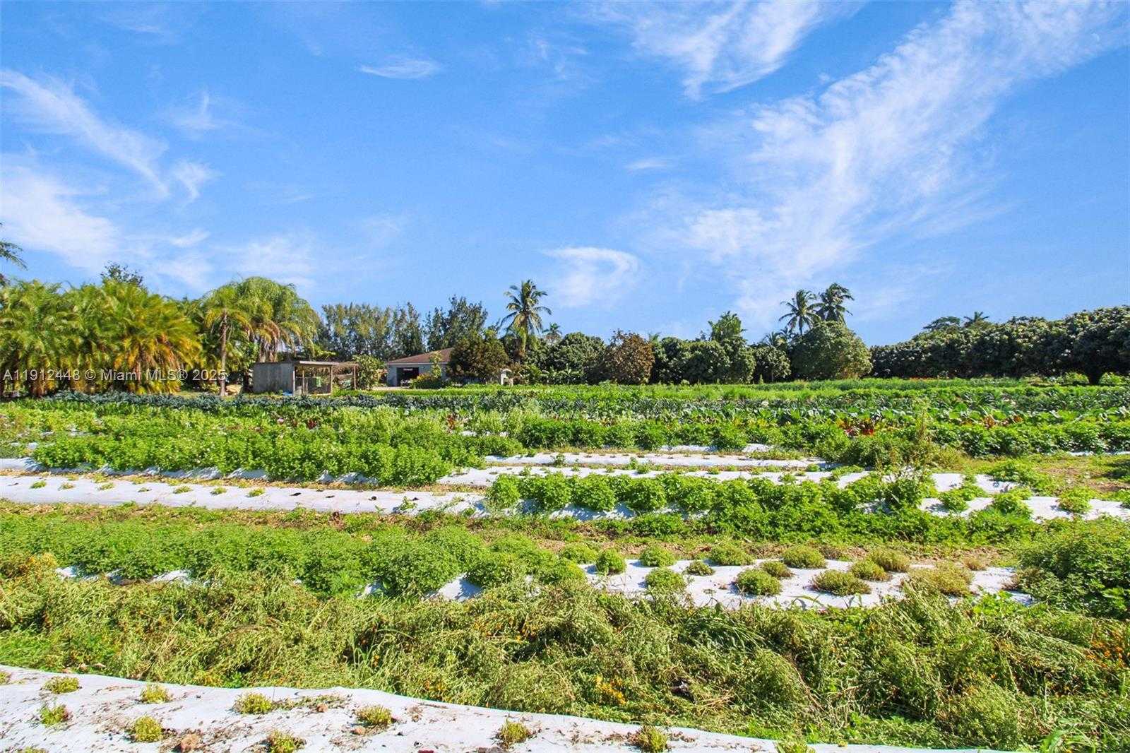 Small Image of 19051 SOUTH WEST 147TH AVE, Miami Number 21