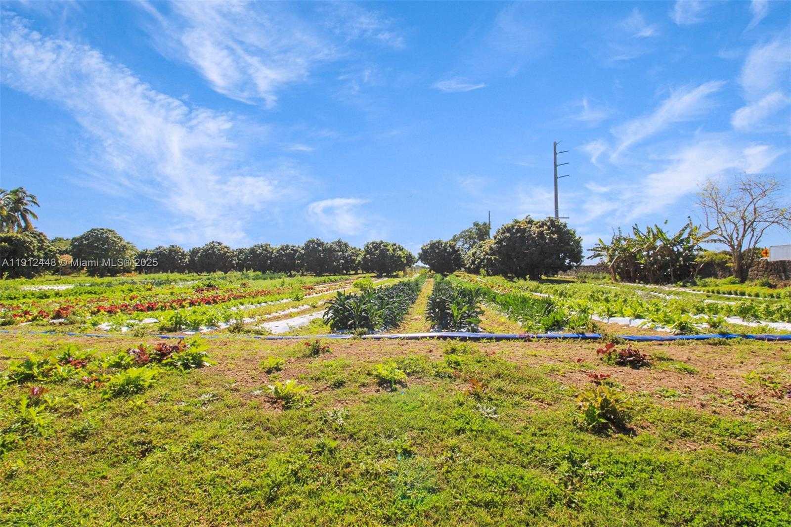 Small Image of 19051 SOUTH WEST 147TH AVE, Miami Number 22