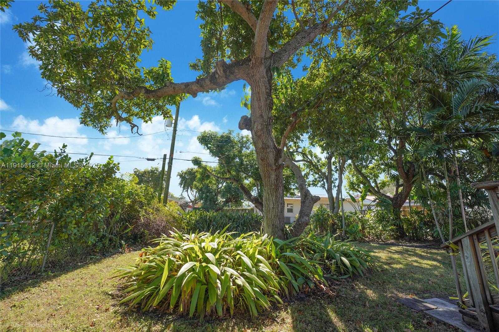 Small Image of Miami Number 22