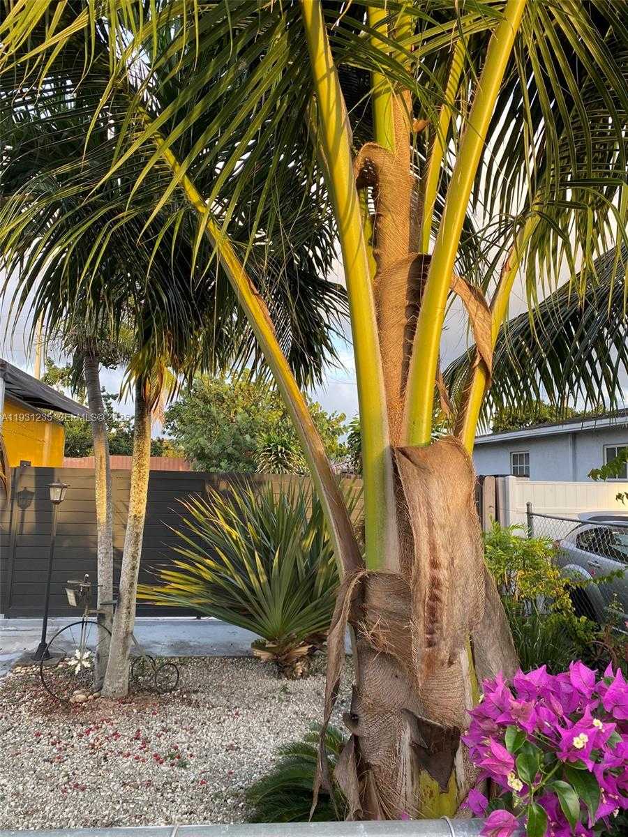 Small Image of 10529 NORTH WEST 37TH AVE, Miami Number 12