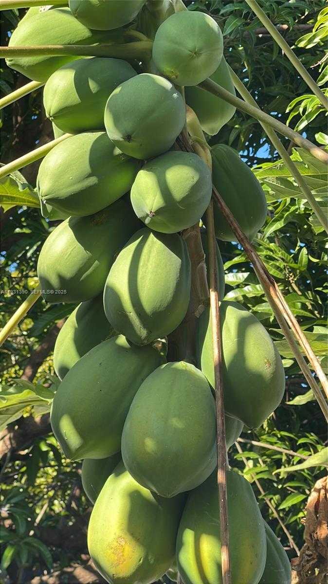 Small Image of 340 SOUTH WEST 217 AVE, Homestead Number 10