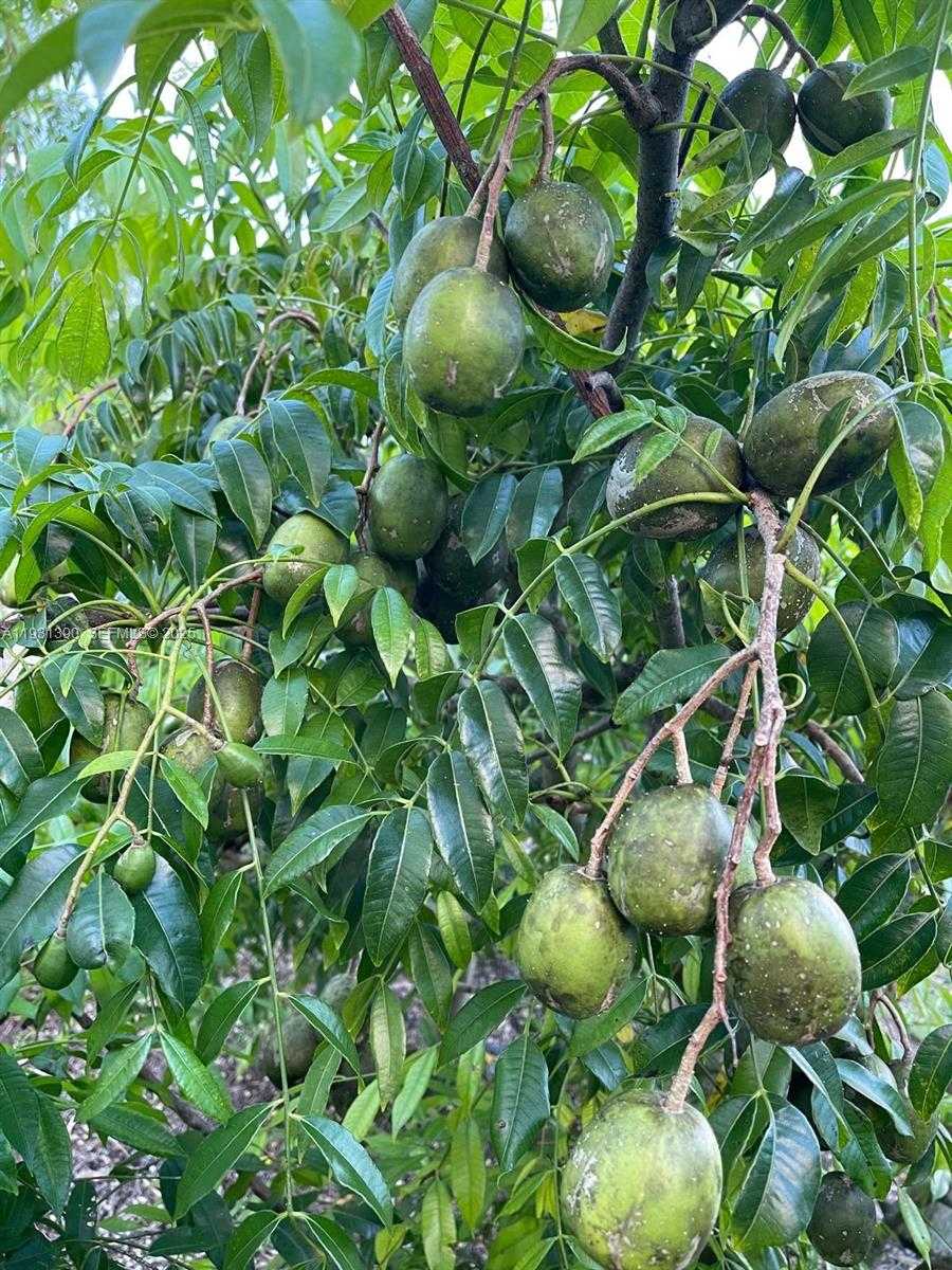 Small Image of 340 SOUTH WEST 217 AVE, Homestead Number 11