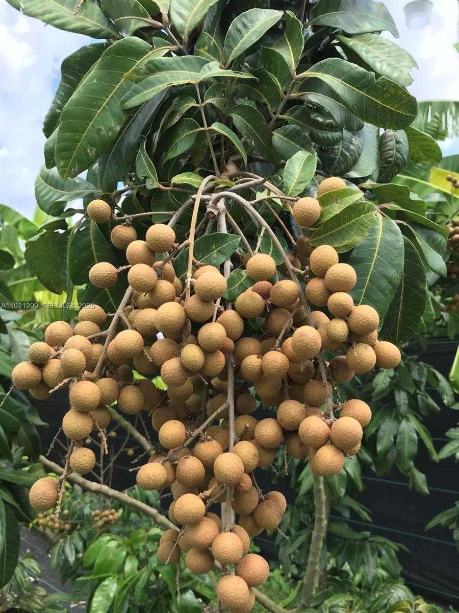 Small Image of 340 SOUTH WEST 217 AVE, Homestead Number 12