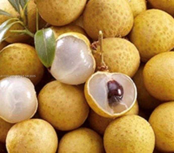 Small Image of 340 SOUTH WEST 217 AVE, Homestead Number 13